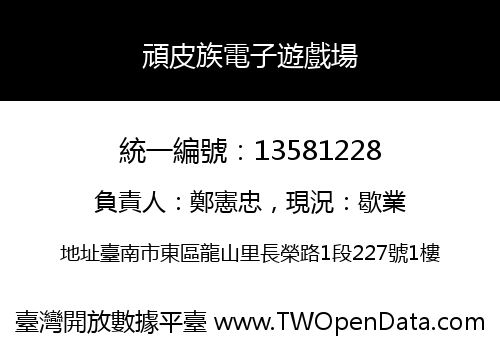 頑皮族電子遊戲場