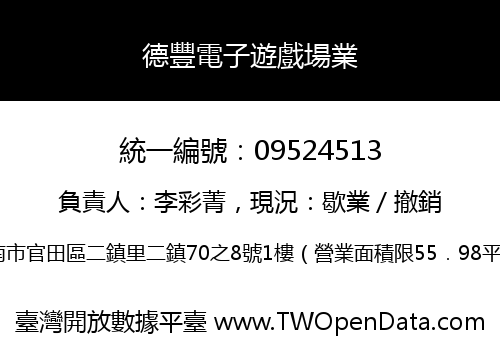 德豐電子遊戲場業
