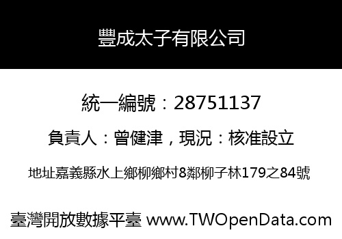 豐成太子有限公司