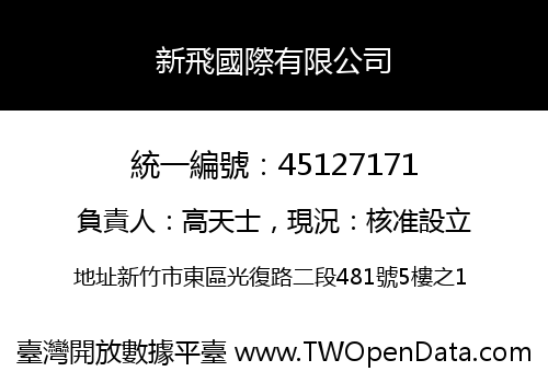 新飛國際有限公司