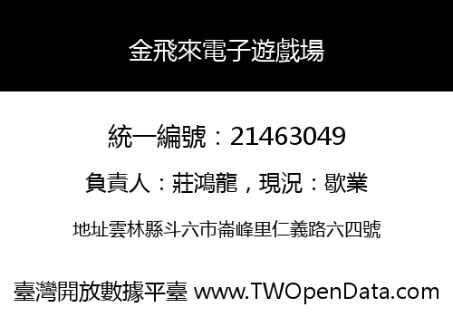 金飛來電子遊戲場
