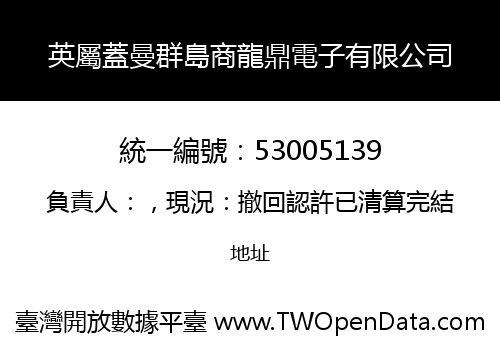英屬蓋曼群島商龍鼎電子有限公司