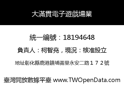大滿貫電子遊戲場業