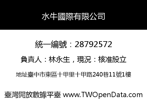 水牛國際有限公司