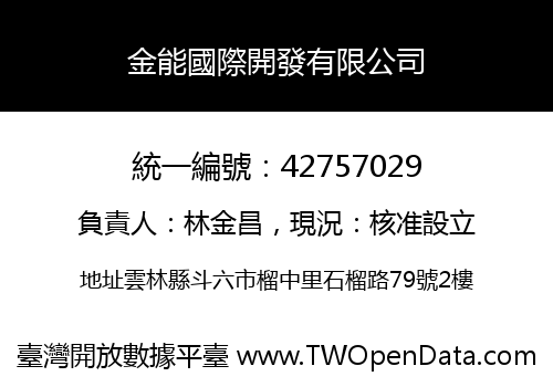 金能國際開發有限公司