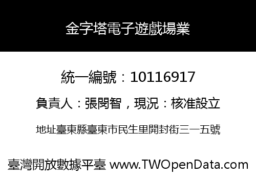 金字塔電子遊戲場業