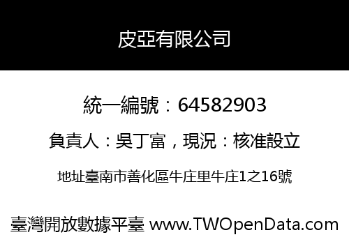 皮亞有限公司