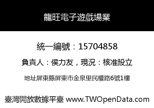 龍旺電子遊戲場業