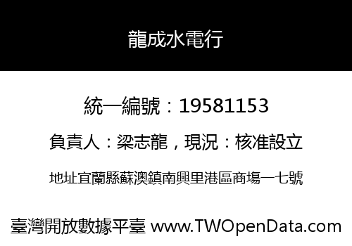 龍成水電行