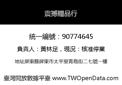 震撼贈品行