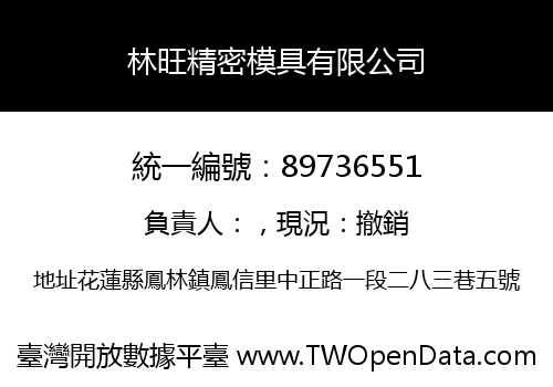 林旺精密模具有限公司
