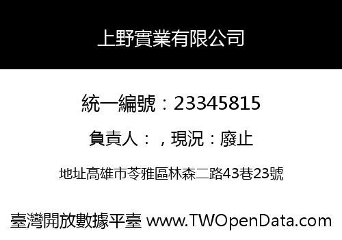 上野實業有限公司
