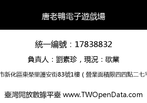 唐老鴨電子遊戲場