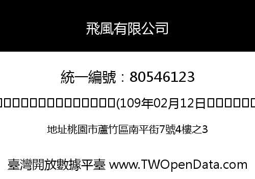 飛風有限公司