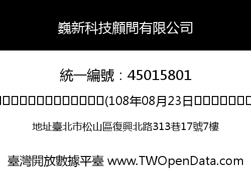 巍新科技顧問有限公司