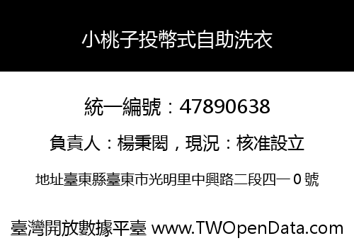 小桃子投幣式自助洗衣