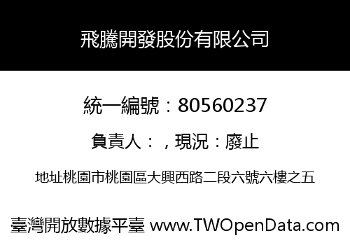 飛騰開發股份有限公司
