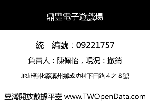 鼎豐電子遊戲場