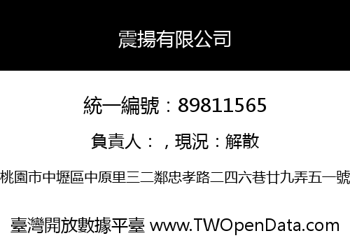 震揚有限公司