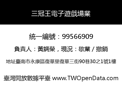 三冠王電子遊戲場業