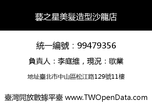 藝之星美髮造型沙龍店