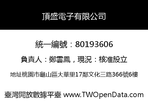 頂盛電子有限公司