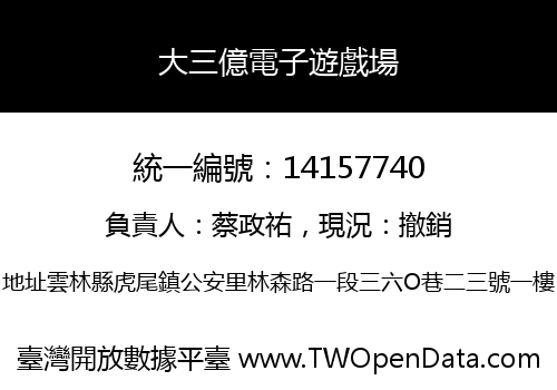 大三億電子遊戲場