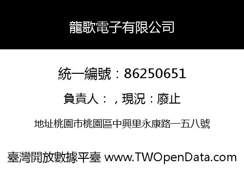 龍歌電子有限公司