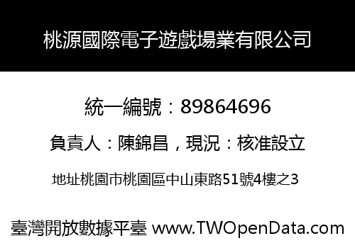 桃源國際電子遊戲場業有限公司