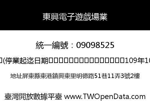 東興電子遊戲場業