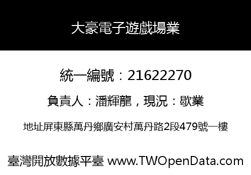 大豪電子遊戲場業