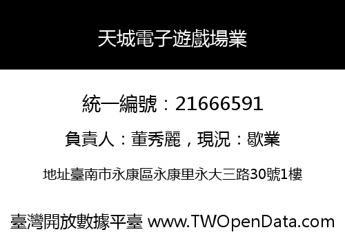 天城電子遊戲場業