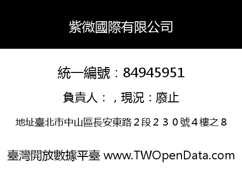 紫微國際有限公司