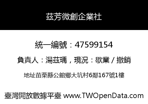 茲芳微創企業社