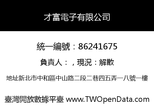 才富電子有限公司