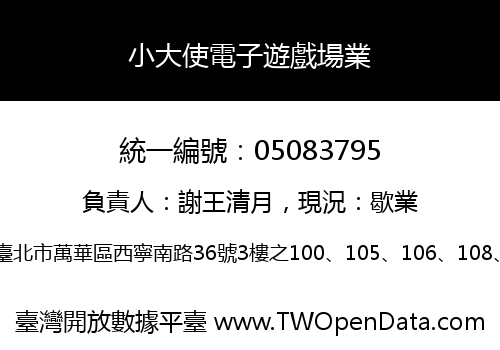 小大使電子遊戲場業