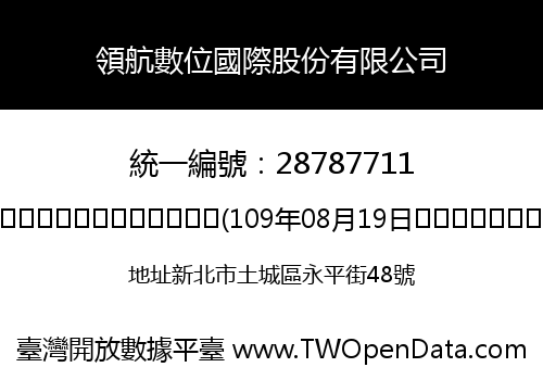 領航數位國際股份有限公司