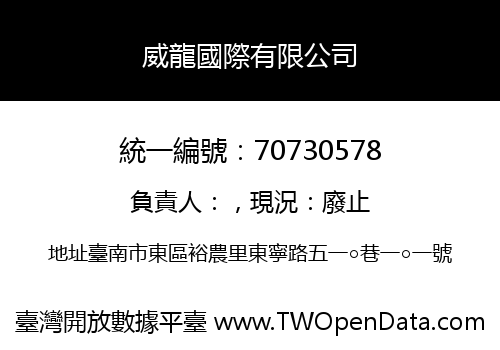 威龍國際有限公司