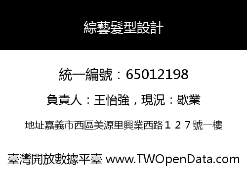 綜藝髮型設計
