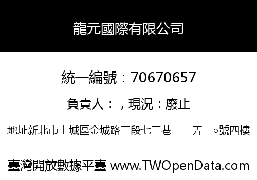 龍元國際有限公司