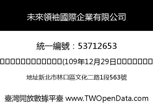 未來領袖國際企業有限公司