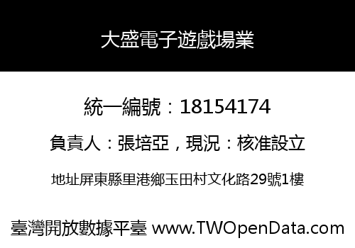 大盛電子遊戲場業