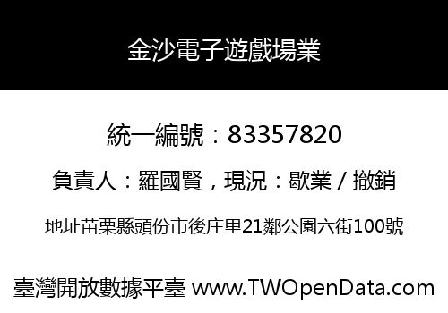金沙電子遊戲場業