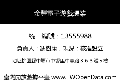 金豐電子遊戲場業