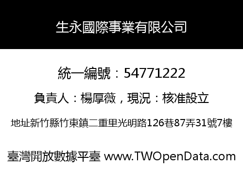 生永國際事業有限公司