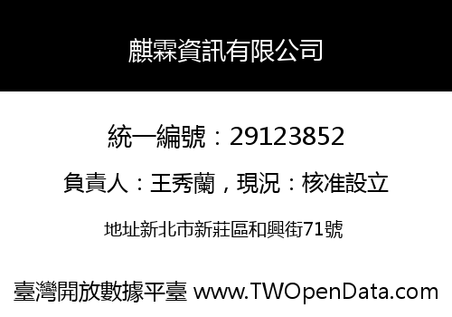 麒霖資訊有限公司
