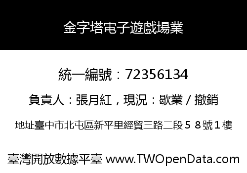 金字塔電子遊戲場業