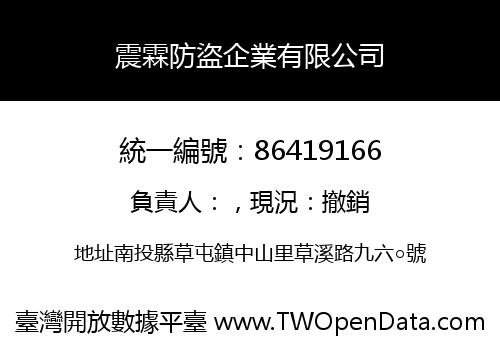震霖防盜企業有限公司