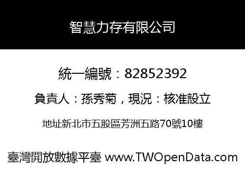 智慧力存有限公司