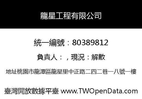 龍星工程有限公司